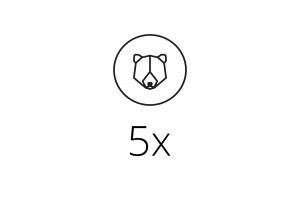 5x Brooch 5x Brooch
