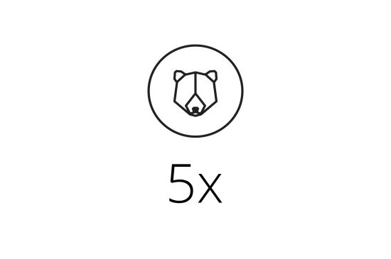5x Brooch 5x Brooch