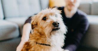 Edice broží, které pomáhají – Packu na to! Edice broží, které pomáhají – Packu na to!
