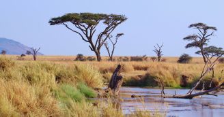 Den Afriky: Jak pomáhá BeWooden africká edice? Den Afriky: Jak pomáhá BeWooden africká edice?