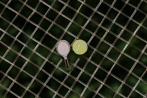 Dřevěné náušnice Tenis Dřevěné náušnice Tenis