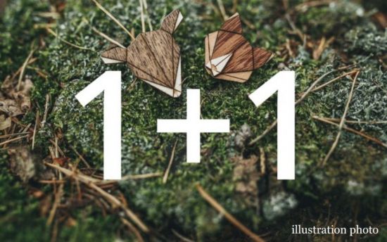 1+1 Dřevěná brož 1+1 Dřevěná brož