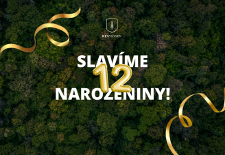 12 let BeWooden: Objevte 12 nejoblíbenějších dřevěných produktů 12 let BeWooden: Objevte 12 nejoblíbenějších dřevěných produktů