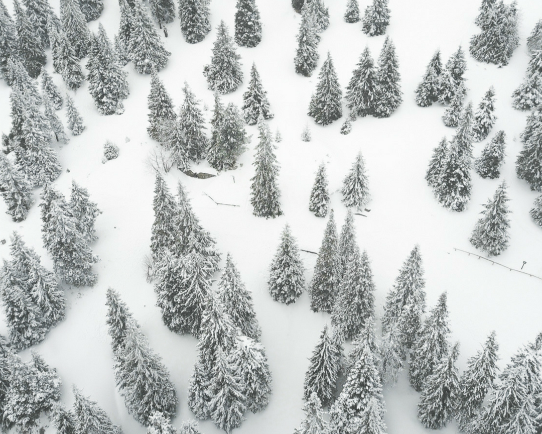 christmas_stories_2